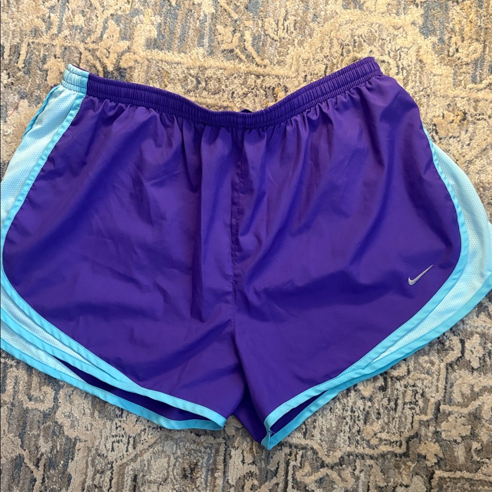 Nike Women's Athletic Shorts in Purple and Light Blue Dri-Fit size XL